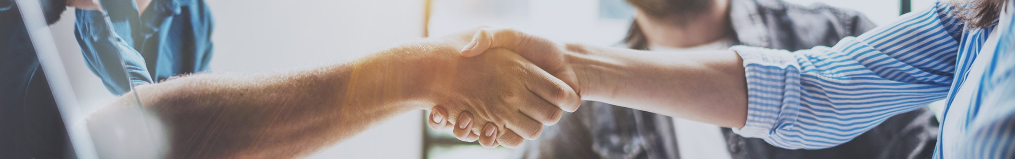 Partner Bild Zwei Menschen geben sich die Hände wie Partner das machen würden